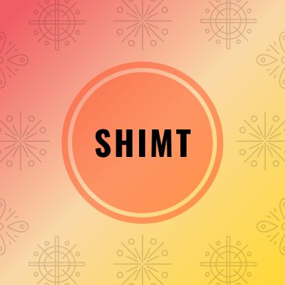 Shree Hanumat Institute of Management and Technology is partner with Sunshine Achievers Tech 